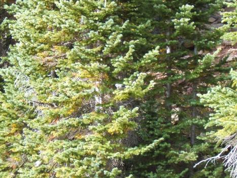 2005_0824roadtrip0223