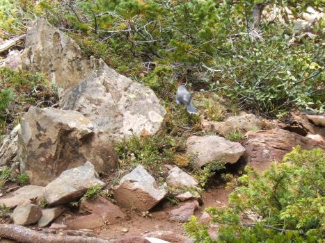 2005_0824roadtrip0224