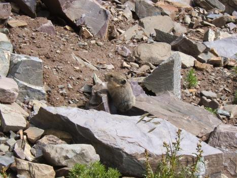 2005_0824roadtrip0226