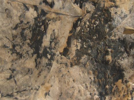 2005_0824roadtrip0107