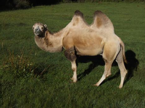 2005_0824roadtrip0156