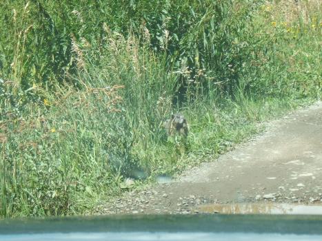 2005_0824roadtrip0200