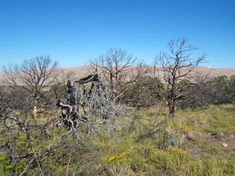 2005_0824roadtrip0049