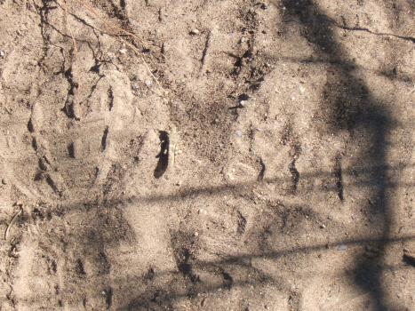 2005_0824roadtrip0050