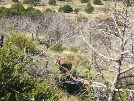 2005_0824roadtrip0051