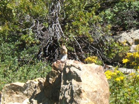 2005_0824roadtrip0057