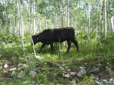 2005_0824roadtrip0116