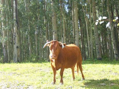 2005_0824roadtrip0117