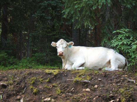 2005_0824roadtrip0118